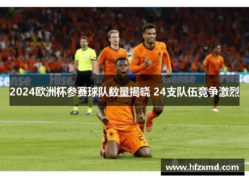 2024欧洲杯参赛球队数量揭晓 24支队伍竞争激烈